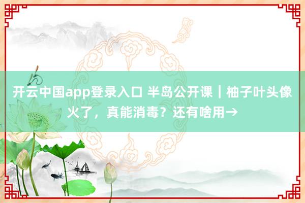 开云中国app登录入口 半岛公开课｜柚子叶头像火了，真能消毒？还有啥用→