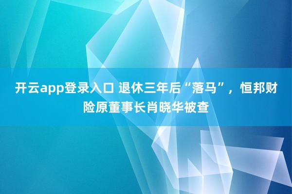 开云app登录入口 退休三年后“落马”,恒邦财险原董事长肖晓华被查