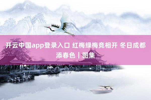 开云中国app登录入口 红梅绿梅竞相开 冬日成都添春色｜图集