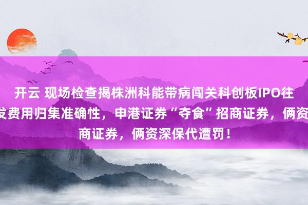 开云 现场检查揭株洲科能带病闯关科创板IPO往事：祸起研发费用归集准确性，申港证券“夺食”招商证券，俩资深保代遭罚！