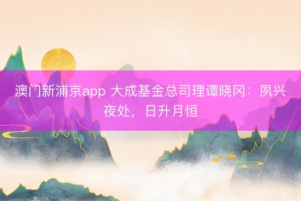 澳门新浦京app 大成基金总司理谭晓冈：夙兴夜处，日升月恒